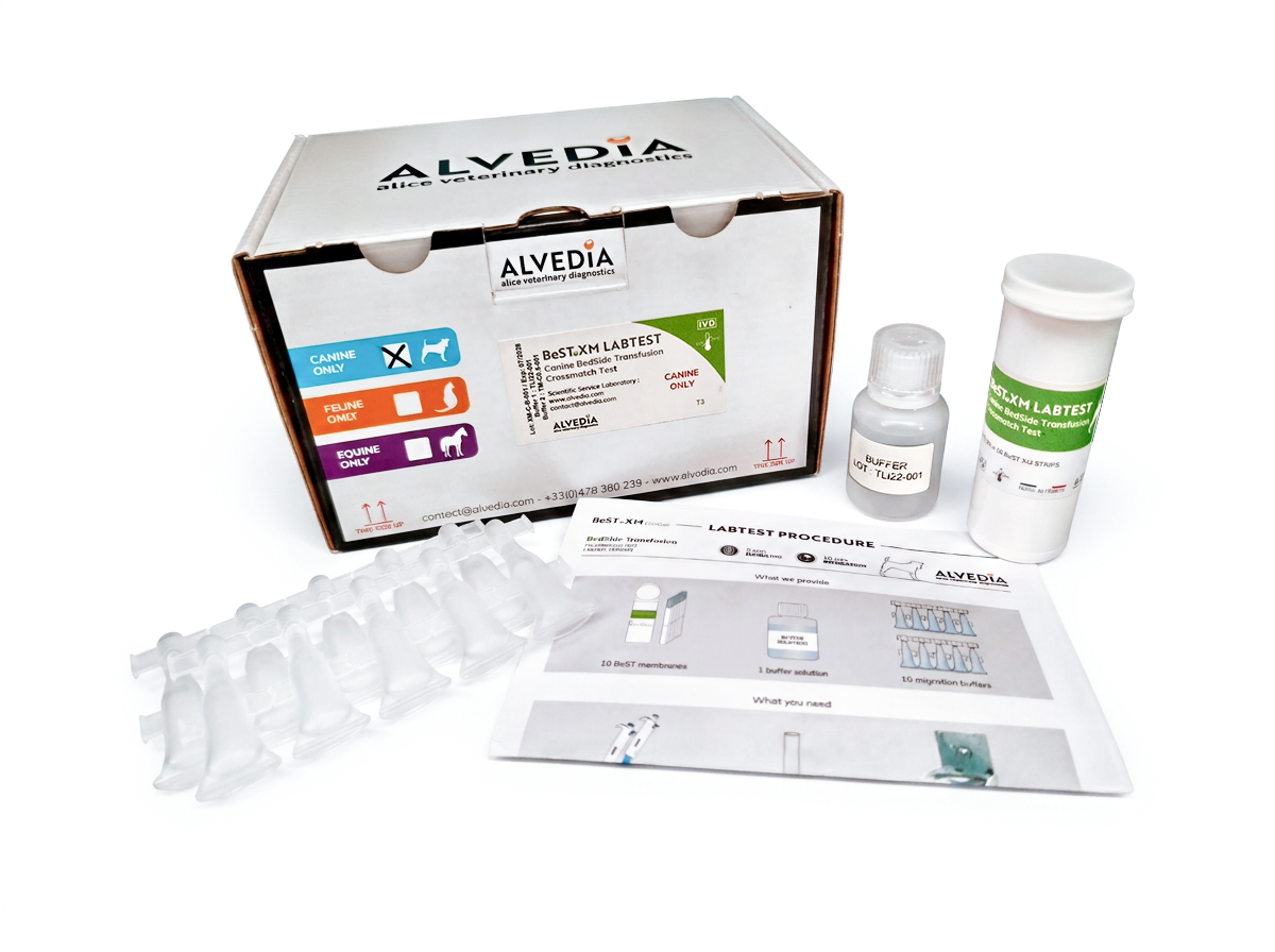 BeST XM LabTest Canine 10-test bulk format kit showing packaging and supplied components