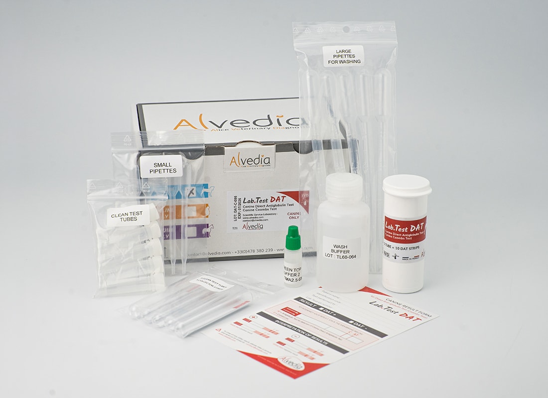 Alvedia LabTest DAT canine multi-test kit showing packaging and supplied components